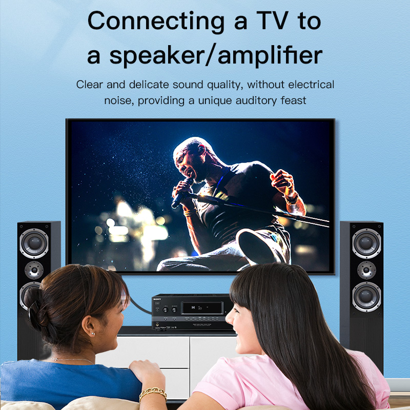 CHOSEAL RCA Cable Digital Coax - огляд і ціна Home Cinema Choice